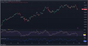 Expert Technical & Fundamental Insights – 31.10.2024